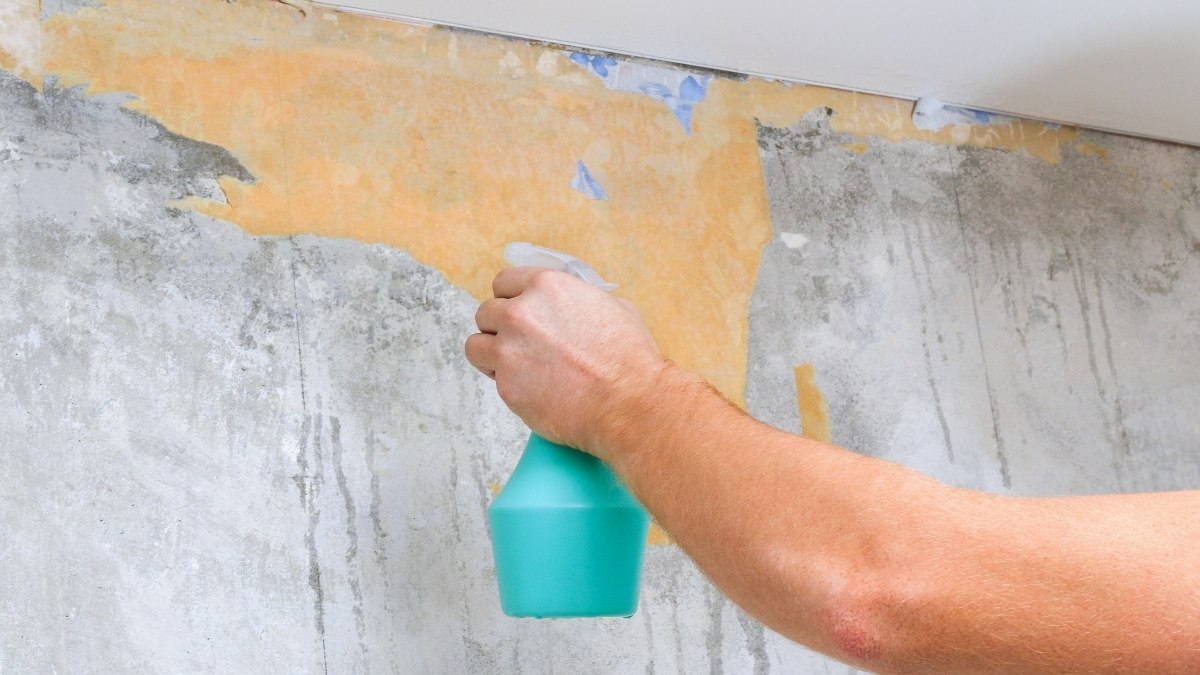 The image shows a person spraying liquid onto a wall to soak and loosen old wallpaper